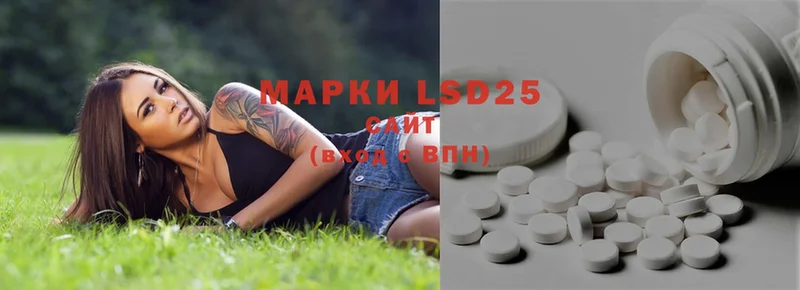 где можно купить   Курчалой  LSD-25 экстази кислота 